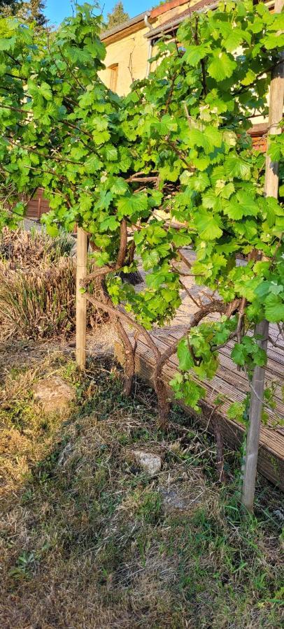 La Boissiere, Le Domaine De Brugal Hotel Carsac-Aillac Bagian luar foto